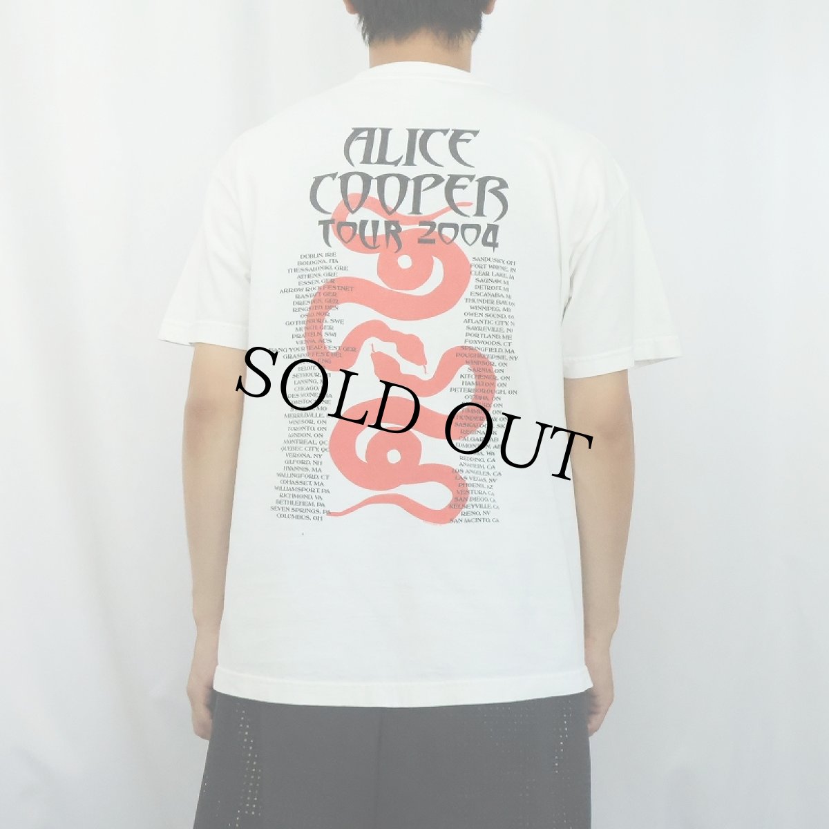 画像4: 2000's Alice Cooper USA製 "TOUR 2004" ミュージシャンツアーTシャツ L (4)