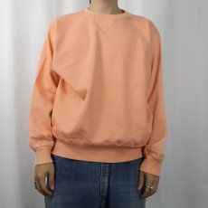 画像2: 80〜90's Champion 青刺繍タグ 中期 USA製 ロゴ刺繍 前Vスウェット L (2)