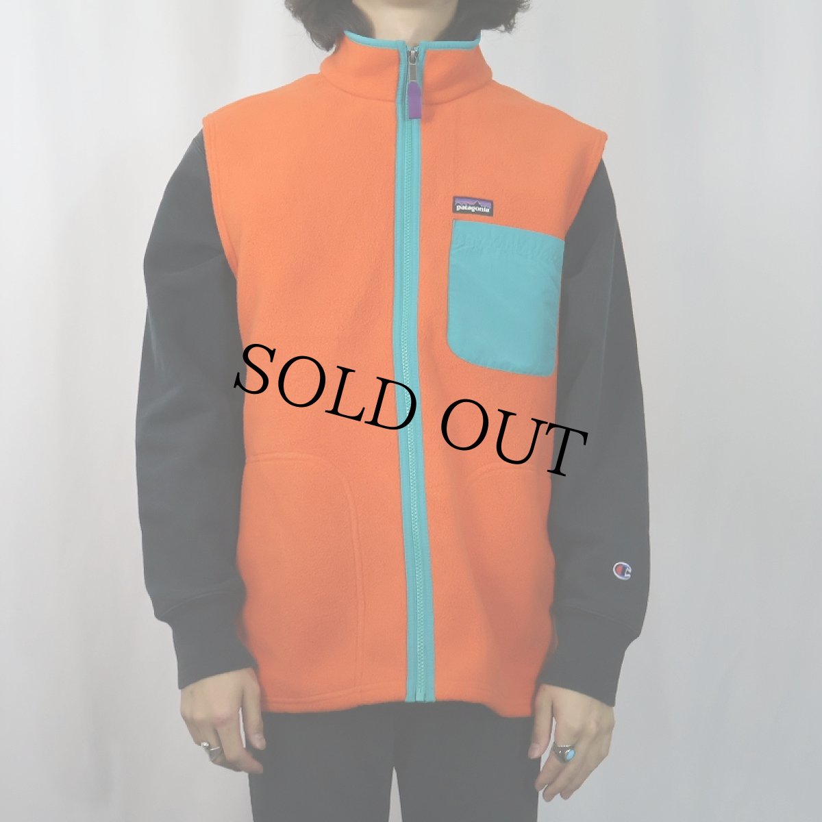 画像2: 2013AW Patagonia カーステンスフリースベスト L (2)