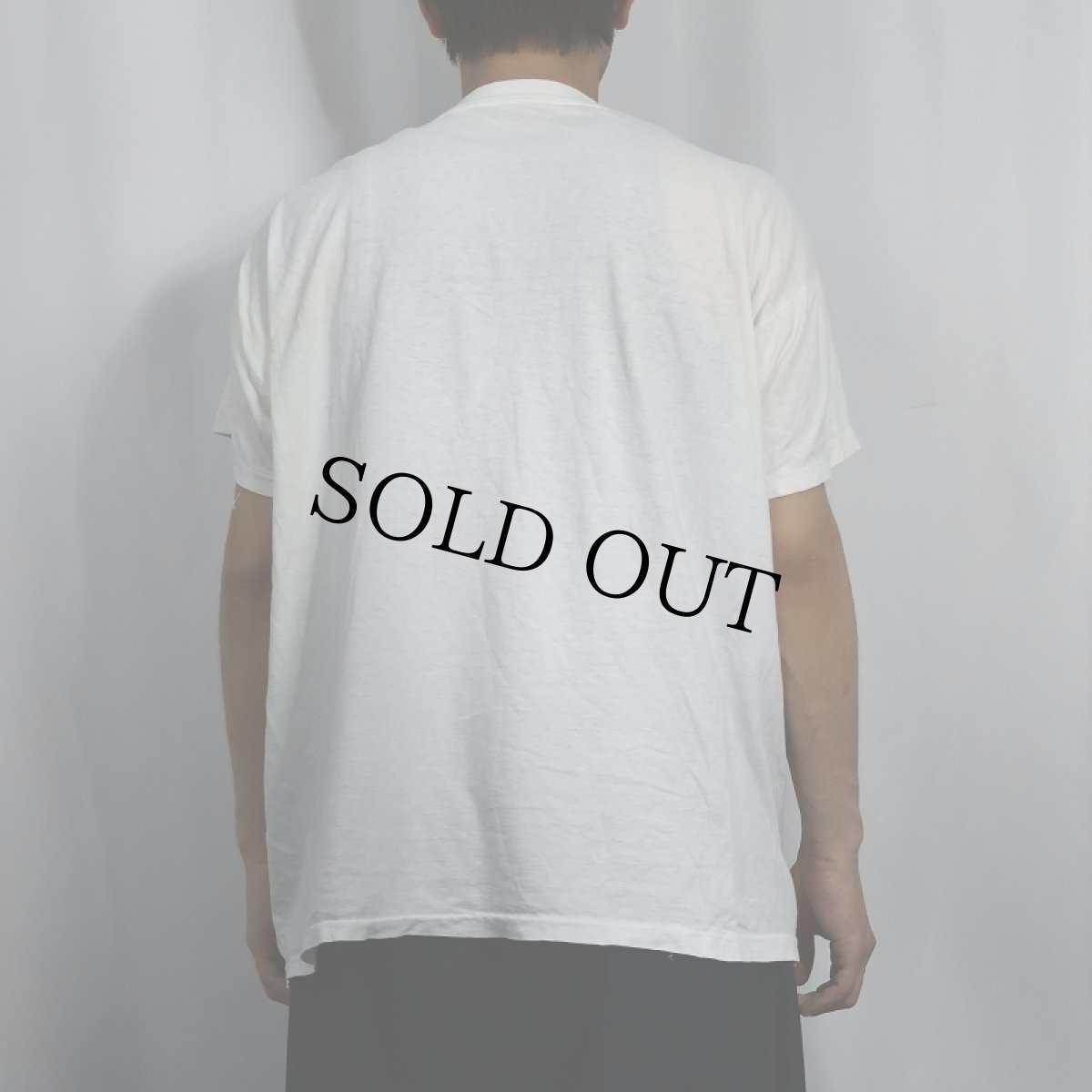 画像3: "萬里長城長城..." 遺跡プリントTシャツ (3)