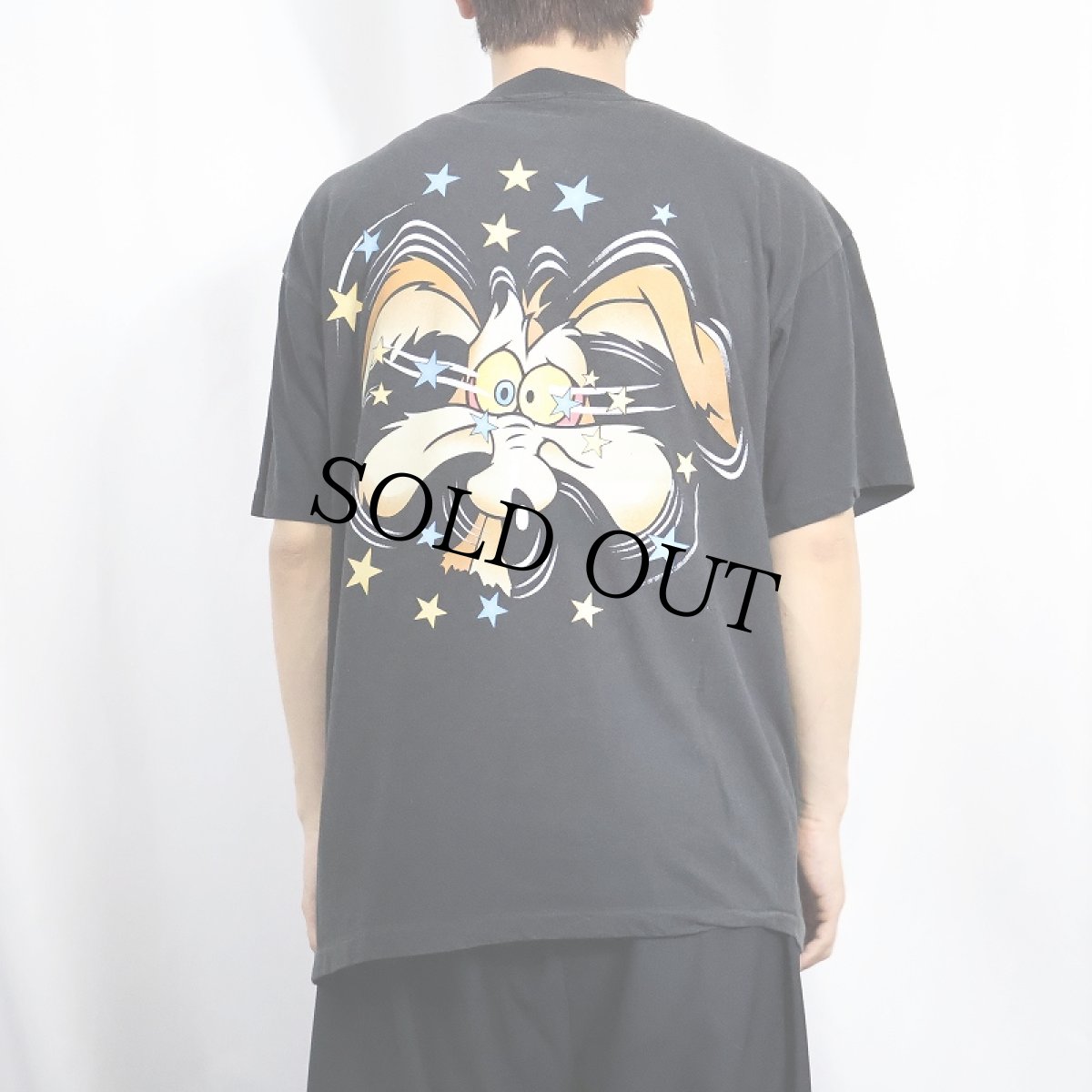 画像3: 90's LOONEY TUNES "Road Runner" キャラクタープリントTシャツ BLACK XL (3)
