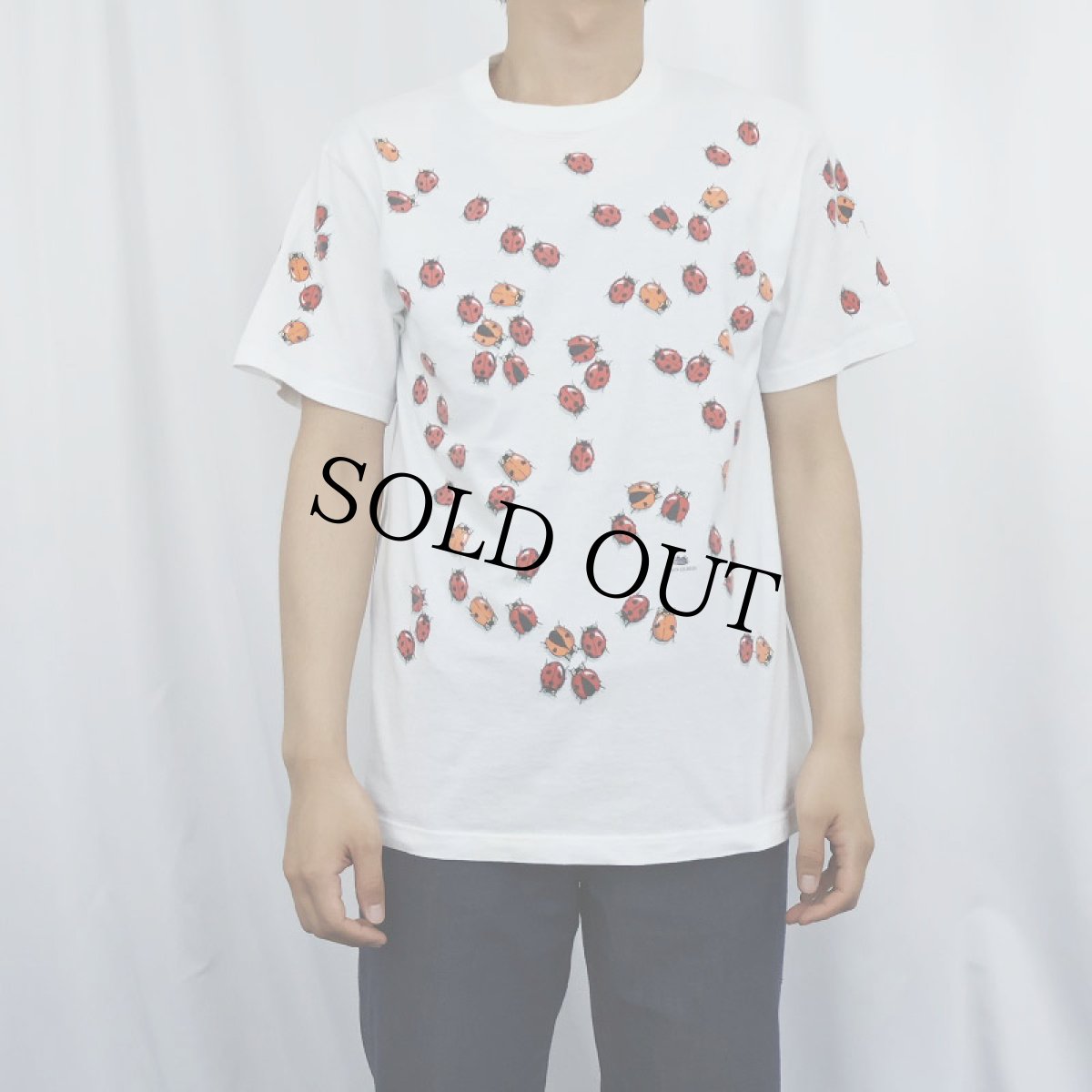 画像2: 90's DAN GILBERT USA製 "Ladybug" アートプリントTシャツ M (2)