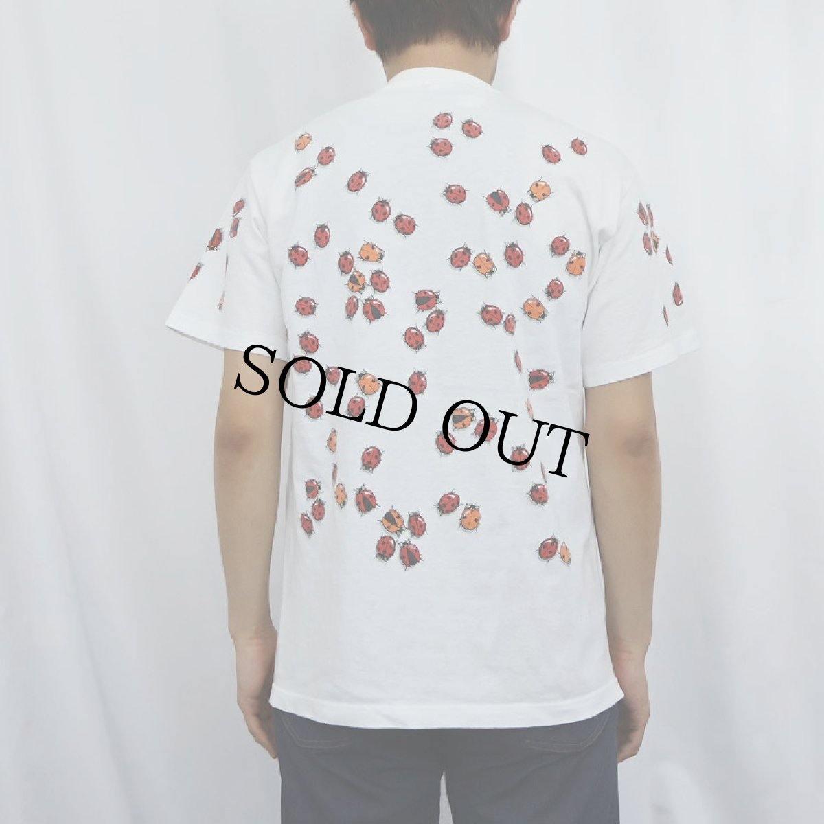 画像3: 90's DAN GILBERT USA製 "Ladybug" アートプリントTシャツ M (3)