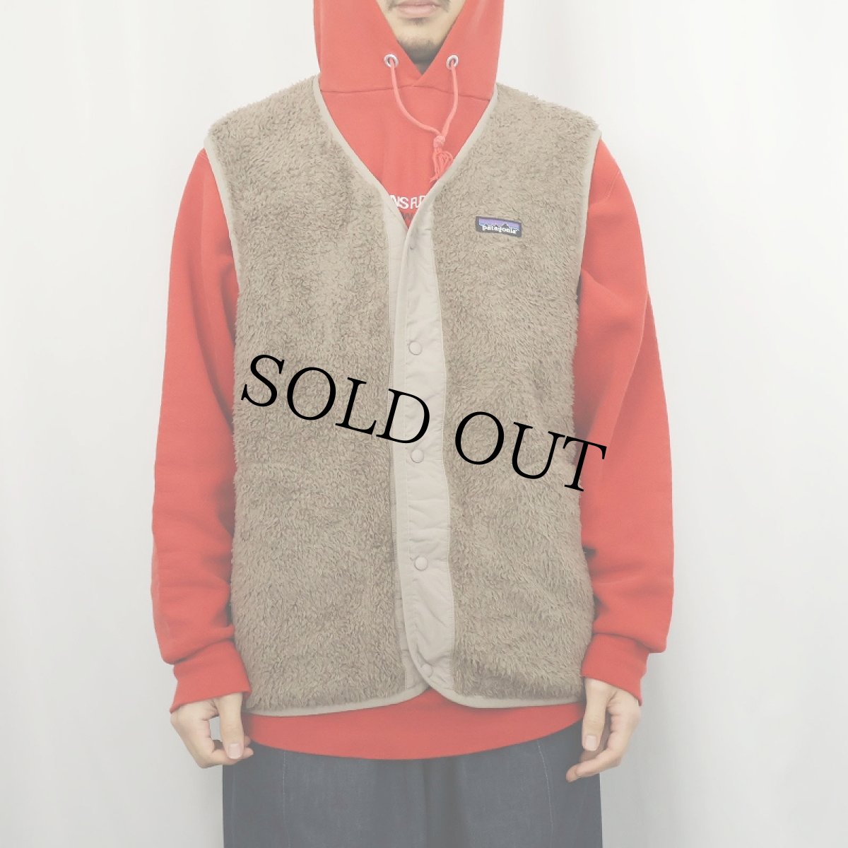 画像2: 2019AW Patagonia ロスガトスベスト L (2)