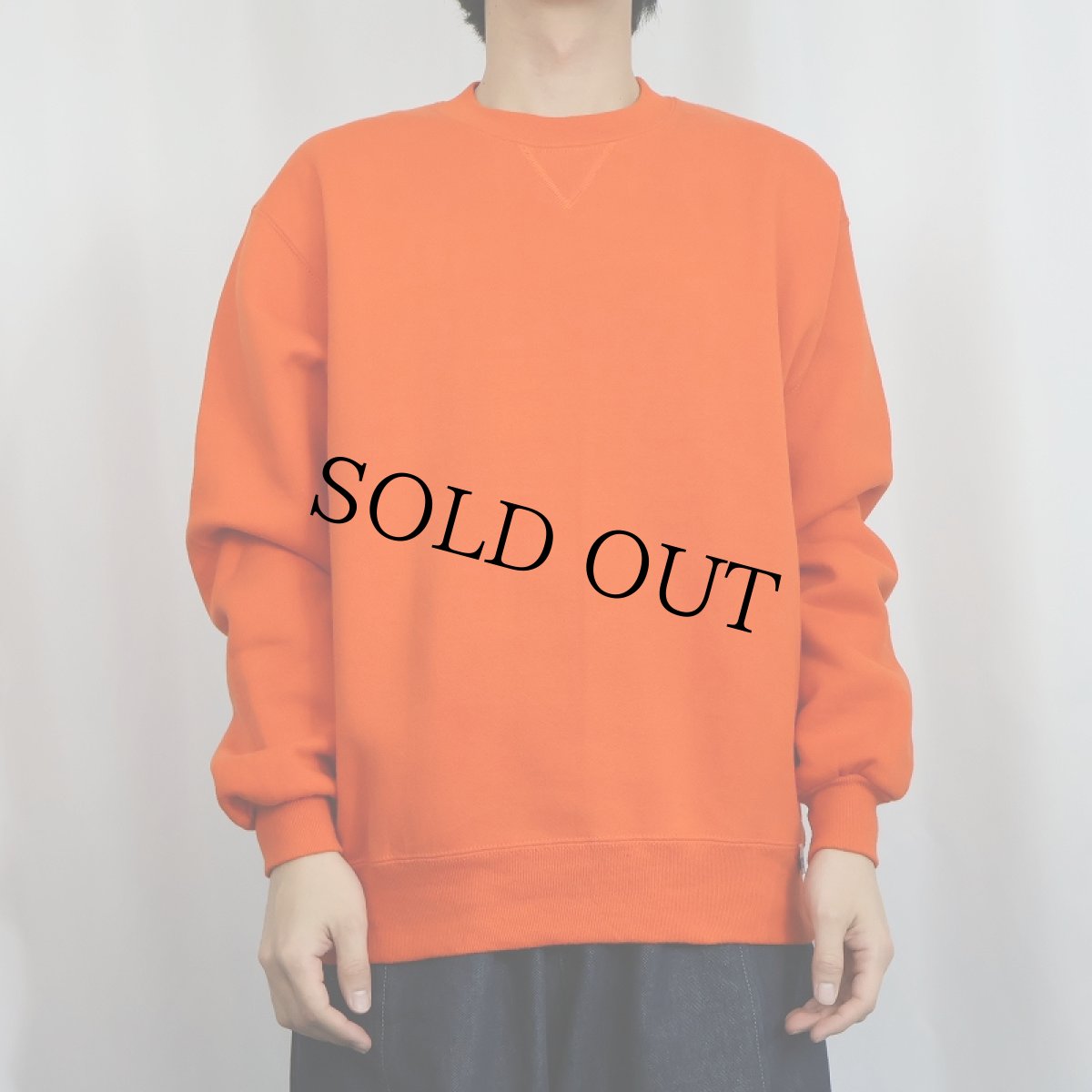 画像2: 90's RUSSELL ATHLETIC USA製 前V 無地スウェット M (2)