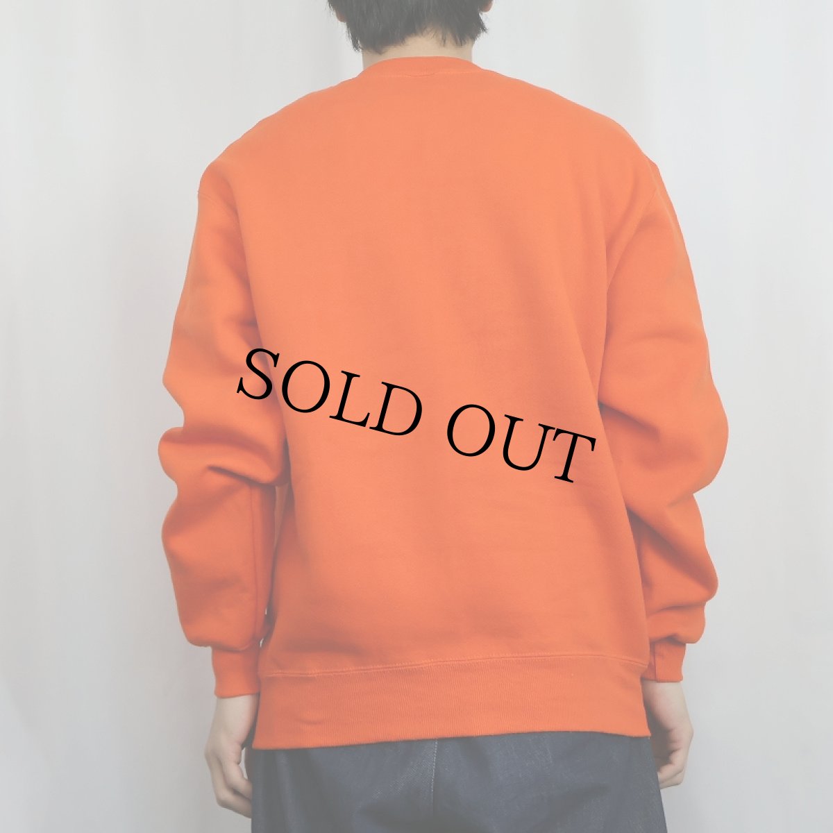 画像3: 90's RUSSELL ATHLETIC USA製 前V 無地スウェット M (3)