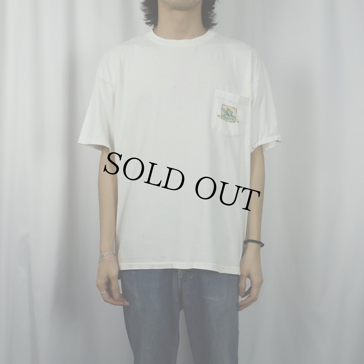 画像3: 90's BANANA REPUBLIC USA製 イルカプリント ポケットTシャツ XL (3)