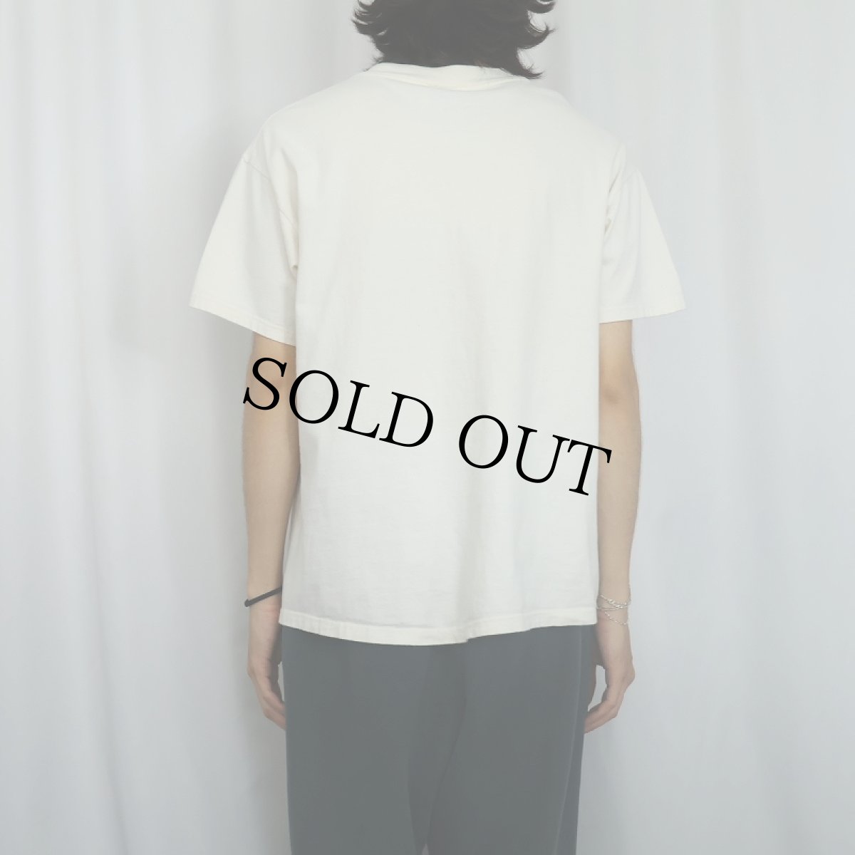 画像3: 90's "International Workshop on Human Caliciviruses" 学術会議プリントTシャツ L (3)