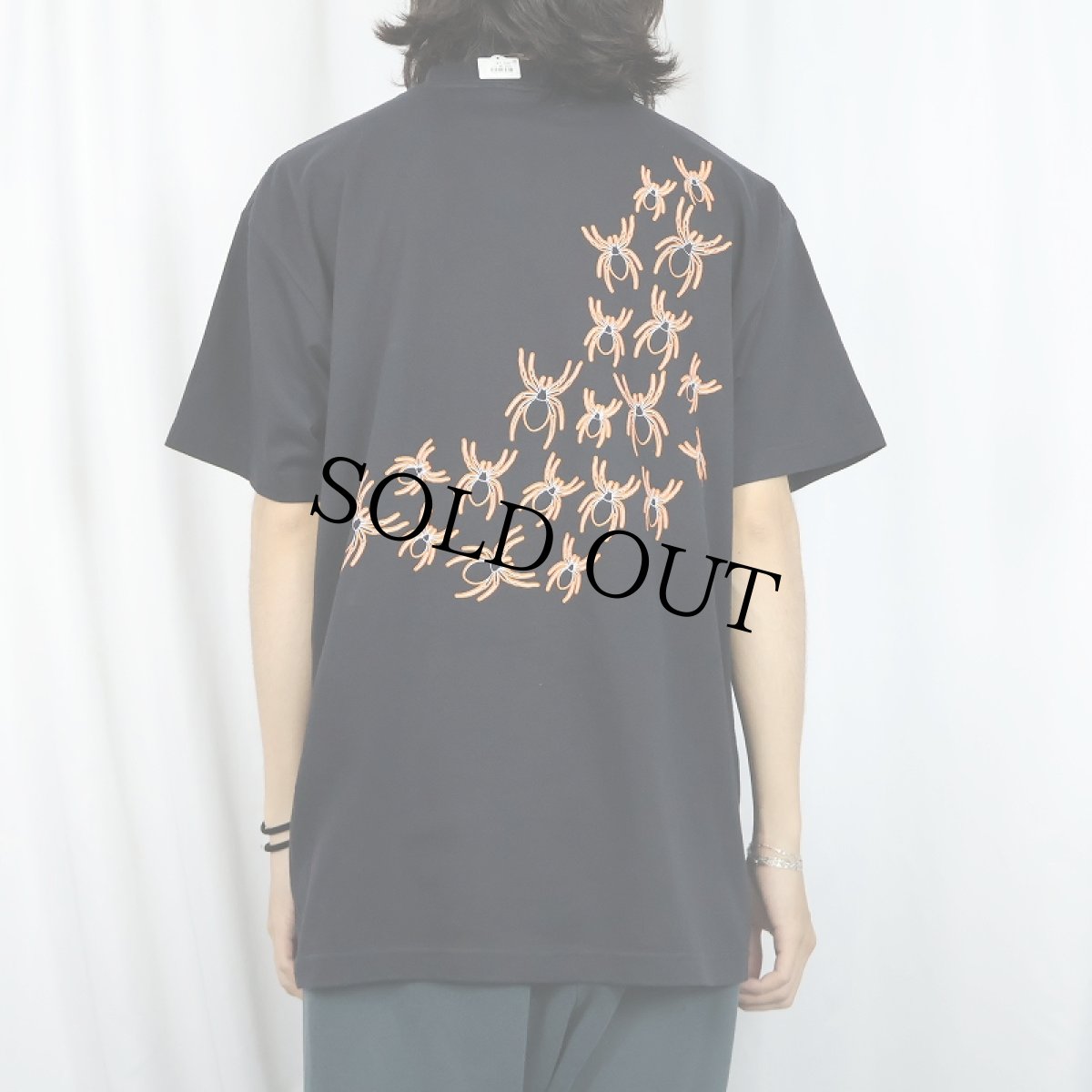 画像4: 90〜2000's Briar Creek 蜘蛛プリントTシャツ BLACK L (4)