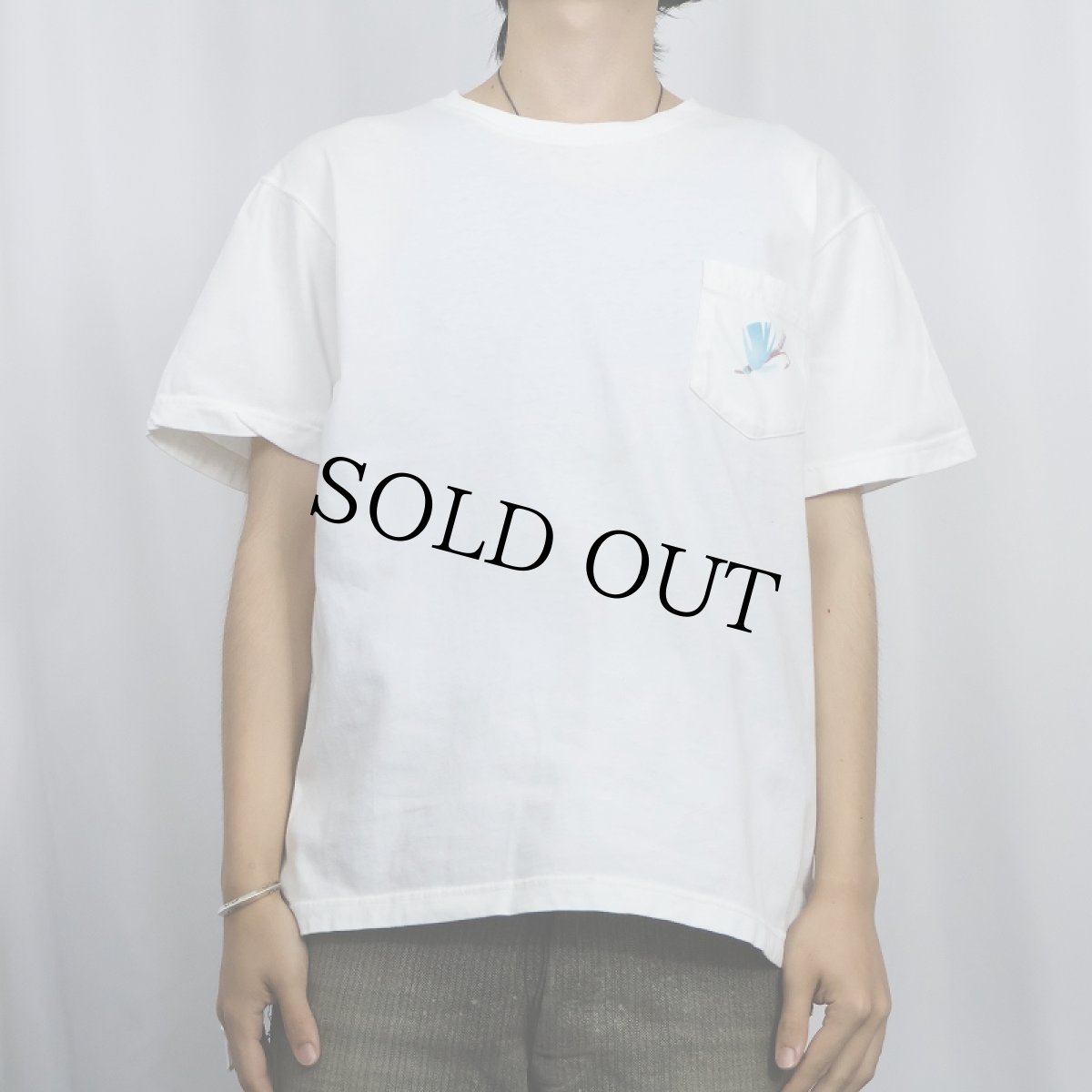 画像3: 90's LANDS' END USA製 "Rainbow Tour" ポケット付きプリントTシャツ XL (3)