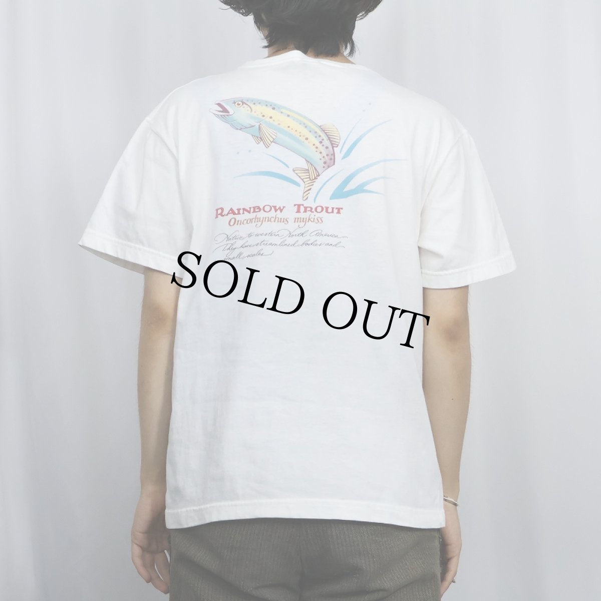 画像4: 90's LANDS' END USA製 "Rainbow Tour" ポケット付きプリントTシャツ XL (4)