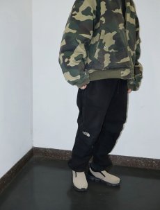 画像1: THE NORTH FACE デナリパンツ BLACK M (1)