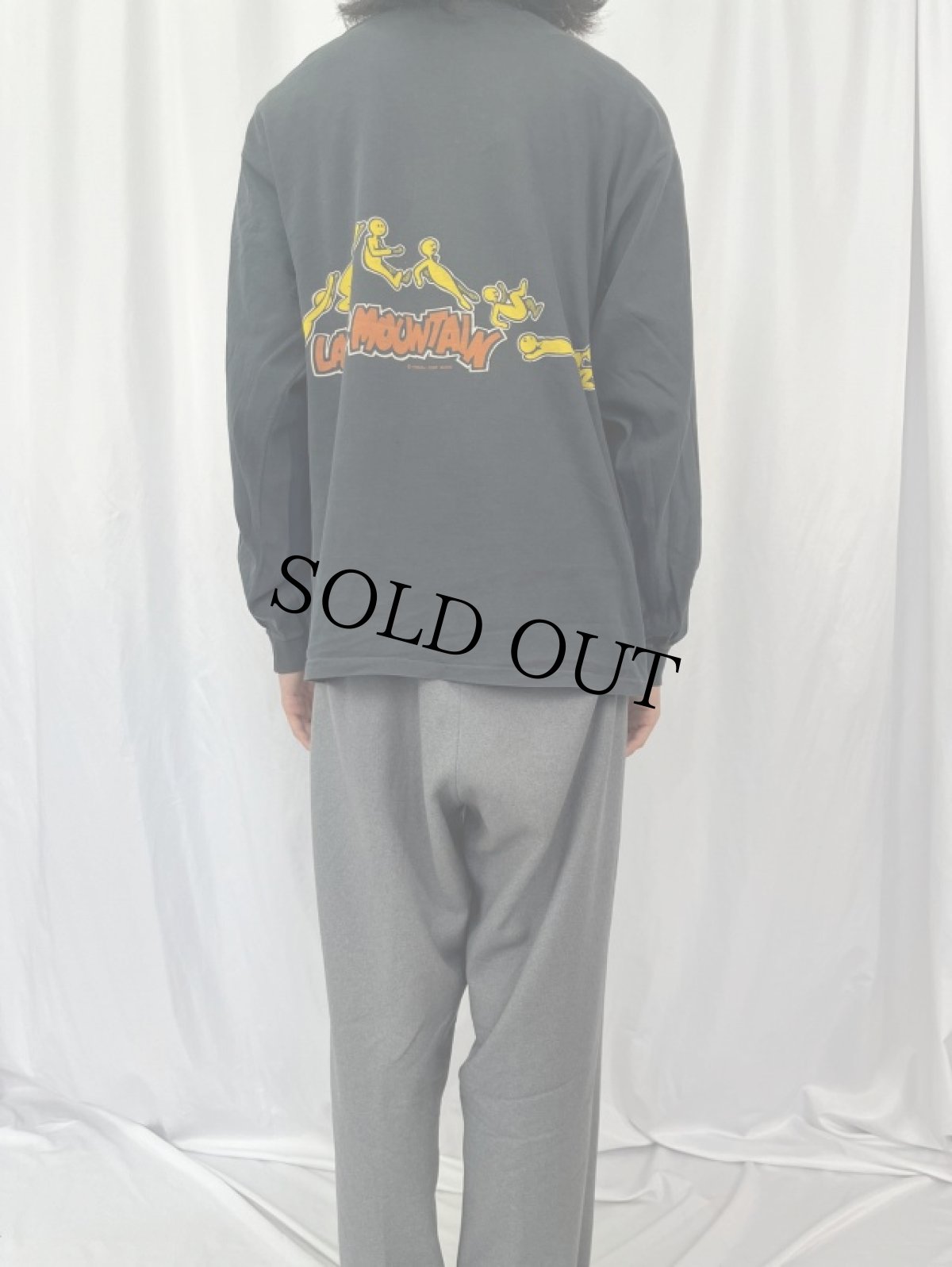 画像4: 90's POWELL PERALTA USA製 "LANCE MOUWTAIN" プリントロンT L (4)