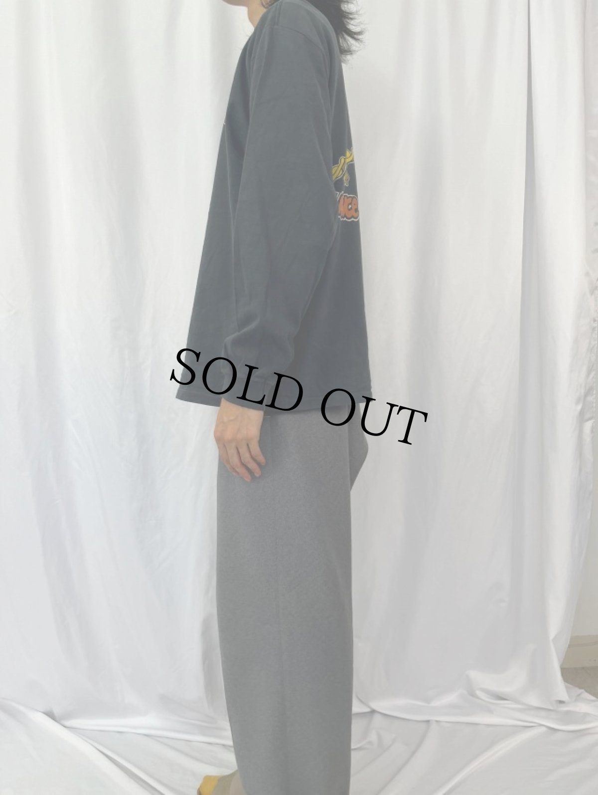 画像3: 90's POWELL PERALTA USA製 "LANCE MOUWTAIN" プリントロンT L (3)