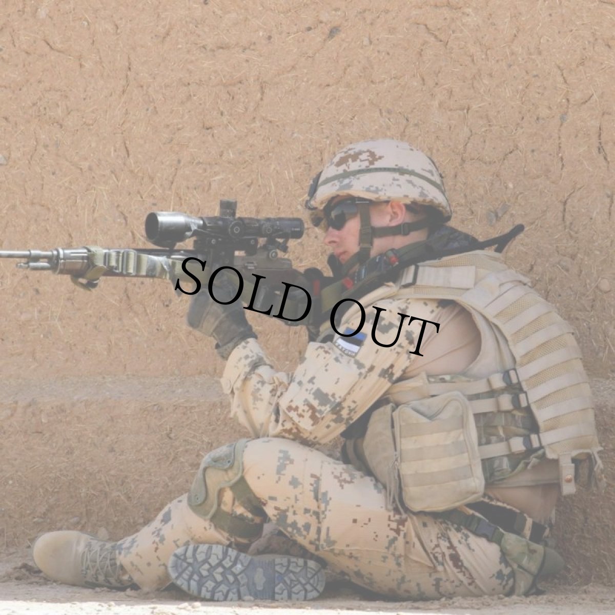 画像4: 希少 00's エストニア軍 ACUカモ柄 GORE-TEXパーカ DEADSTOCK (4)