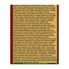 画像6: 1943 BRITISH WLA/WTC CAPE AXEMAN W.P. (6)