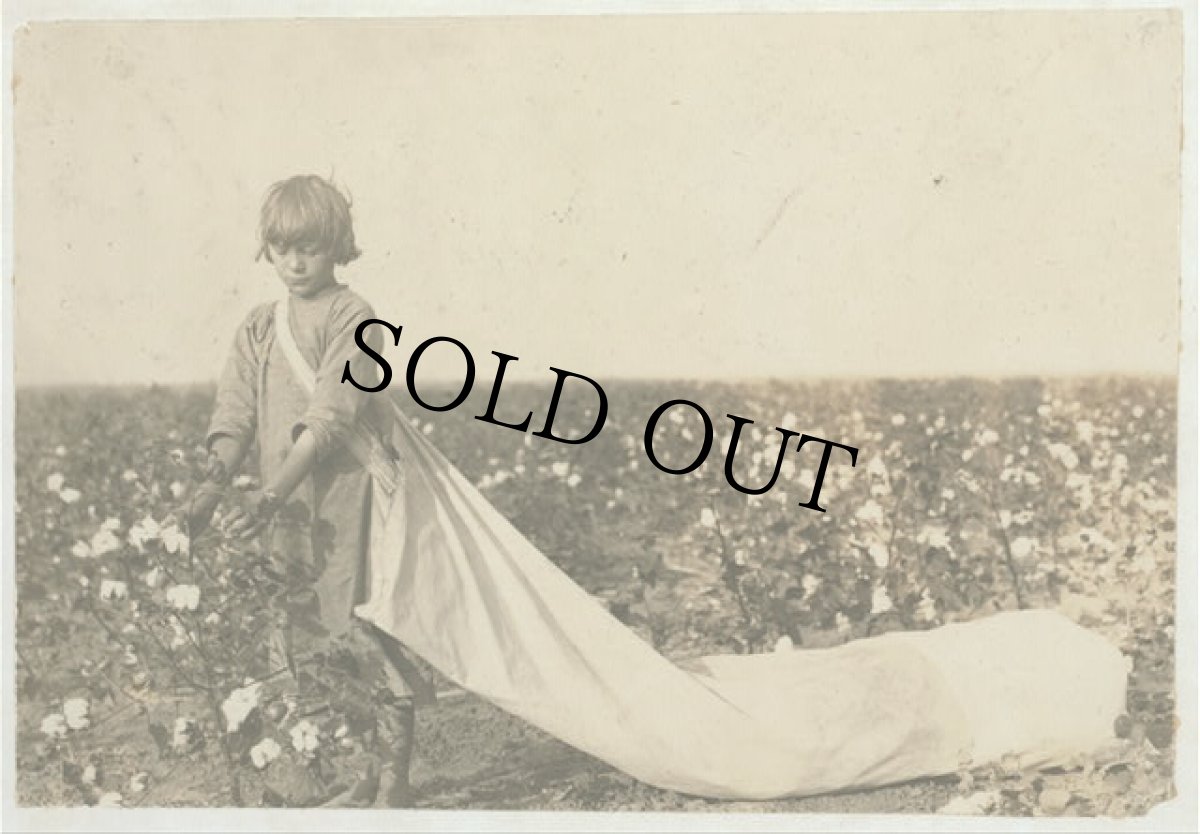 画像7: VINTAGE Harvesting Bag (7)