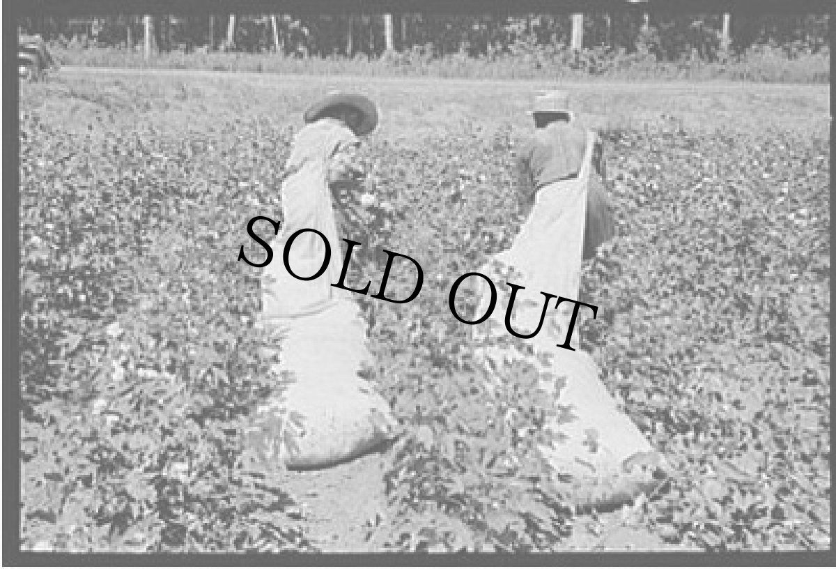 画像8: VINTAGE Harvesting Bag (8)