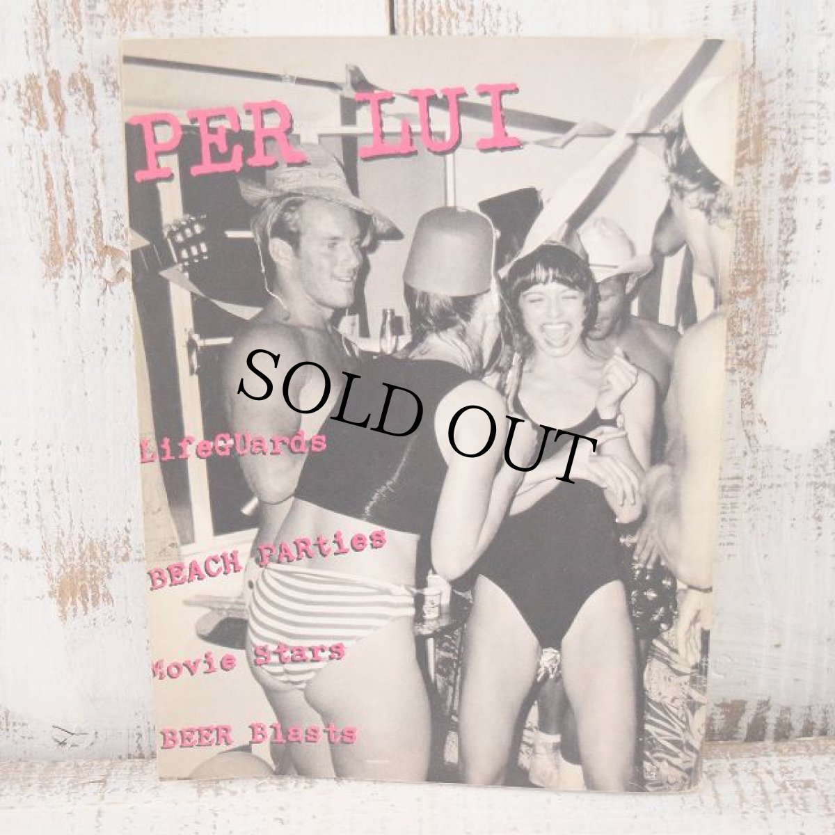 画像2: SUMMER DIARY 1986 Photo by BRuce Weber (2)