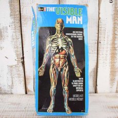 画像1: 70's THE VISIBLE MAN USA製 人体模型キット (1)