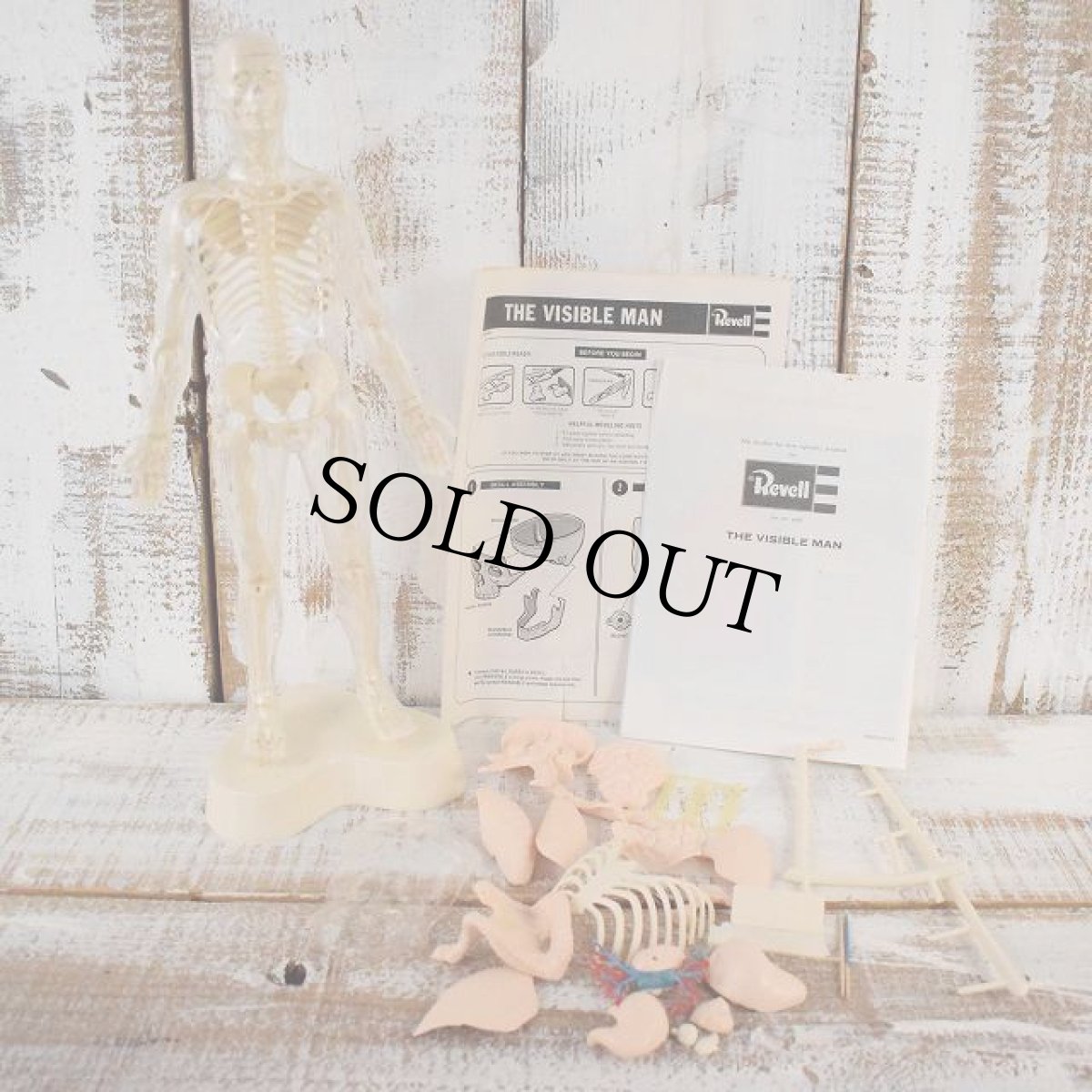 画像2: 70's THE VISIBLE MAN USA製 人体模型キット (2)