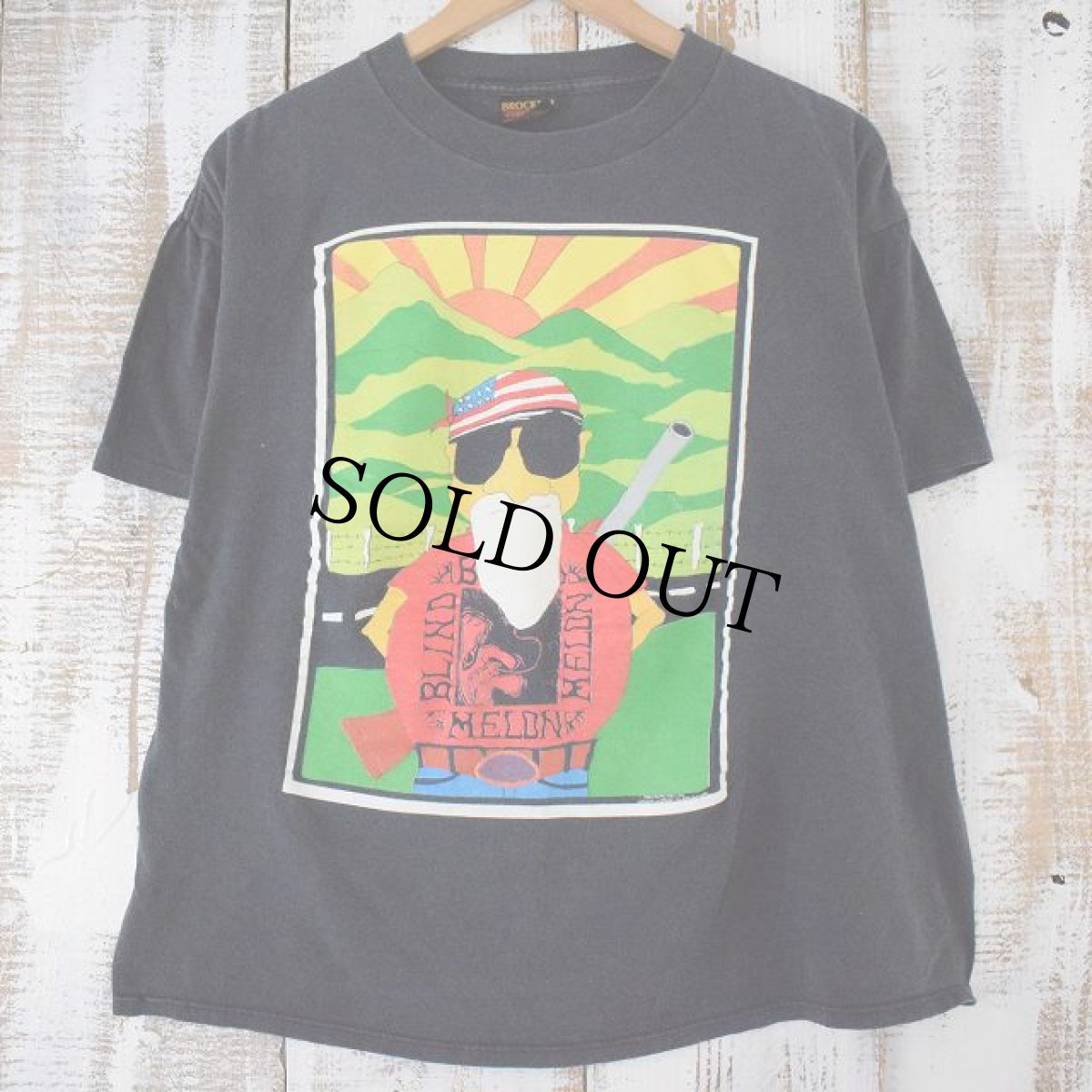 画像1: 90's BLIND MELON USA製 ロックバンド ツアーTシャツ XL (1)