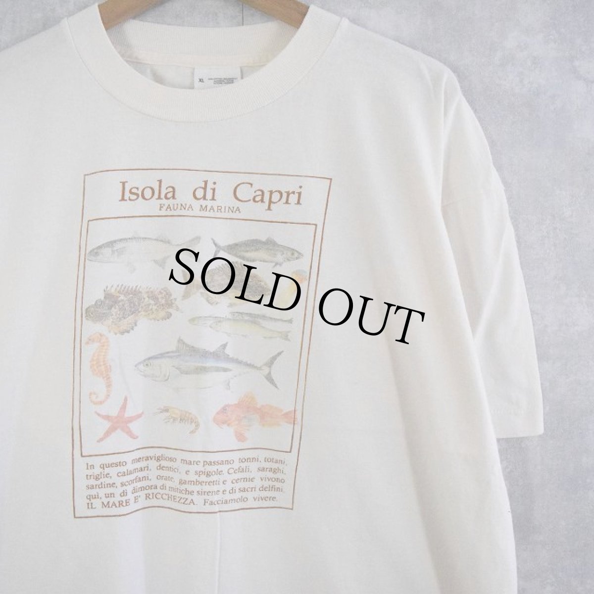 画像1: 90's IRELAND製 "Isola di Capri" 魚プリントTシャツ XL (1)