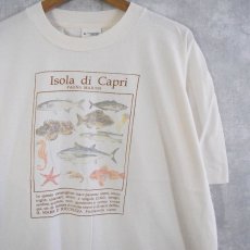 画像1: 90's IRELAND製 "Isola di Capri" 魚プリントTシャツ XL (1)