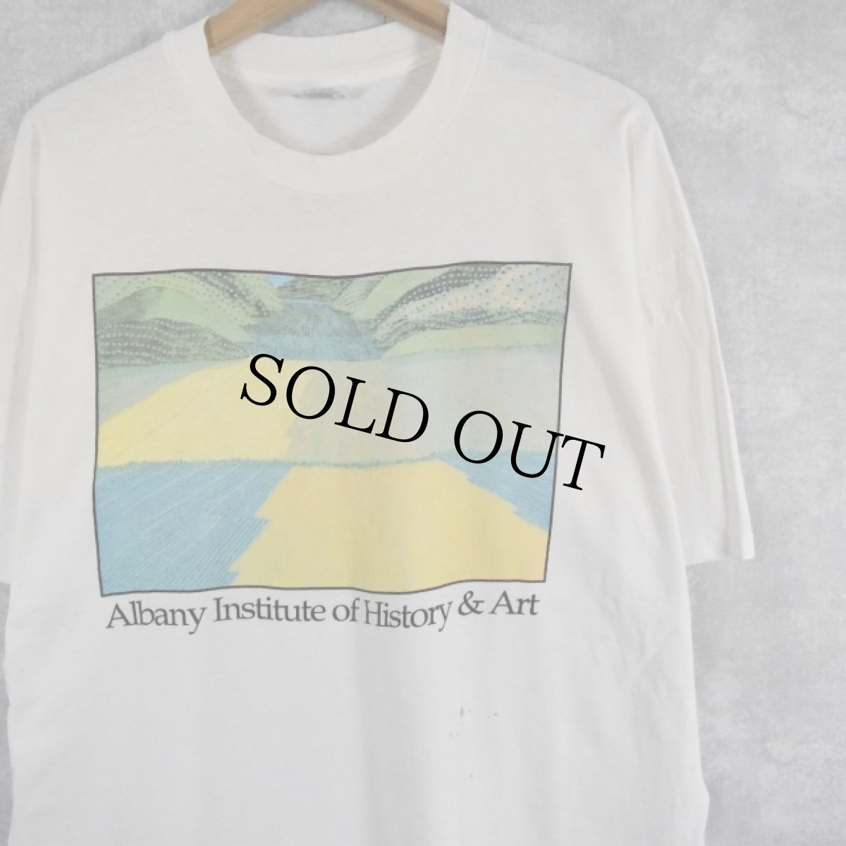 画像1: 90's "Albany Institute of History & Art" USA製 アートTシャツ XL (1)