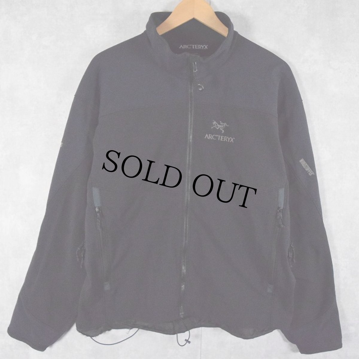 画像1: 2000's Arc'teryx GAMMAジャケット L (1)