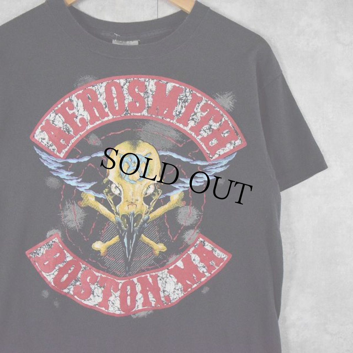 画像1: 90's AEROSMITH USA製 "PUMP" ハードロックバンド アルバムTシャツ L (1)