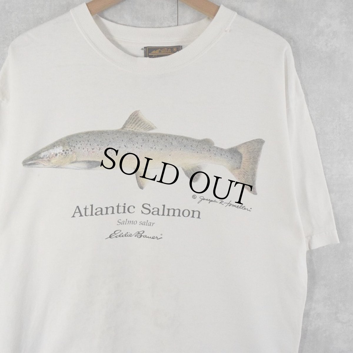 画像1: 90's〜 Eddie Bauer "Atlantic Salmon" 魚イラストTシャツ  (1)