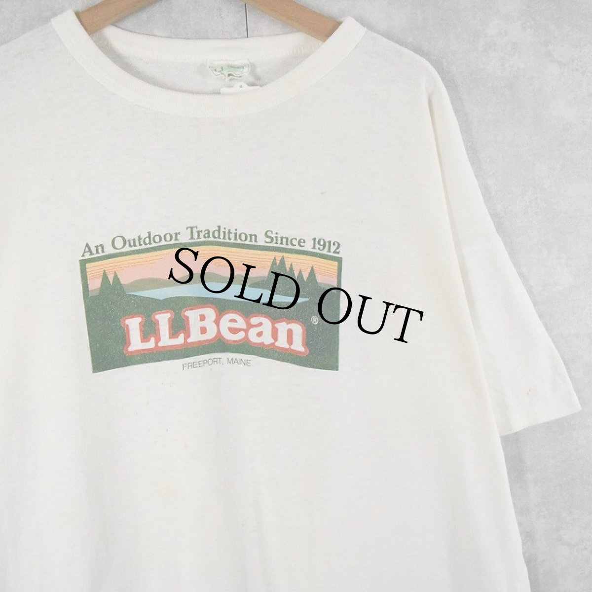 画像1: 90's L.L.Bean USA製 ロゴプリントTシャツ XL (1)