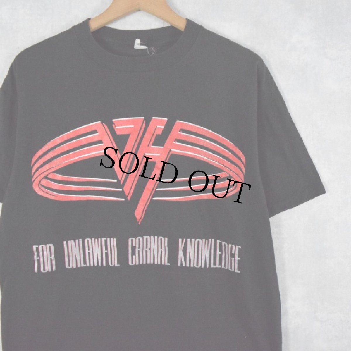 画像1: 90's VAN HALEN USA製 ハードロック・バンド プリントTシャツ L (1)