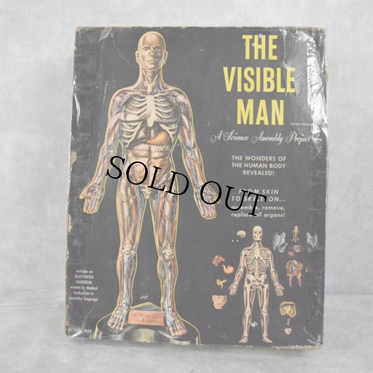 画像1: 1959 THE VISIBLE MAN 人体模型フィギュア (1)