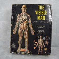 画像1: 1959 THE VISIBLE MAN 人体模型フィギュア (1)