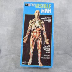 画像1: 1987 THE VISIBLE MAN USA製 人体模型フィギュア (1)