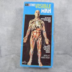 画像1: 1987 THE VISIBLE MAN USA製 人体模型フィギュア (1)