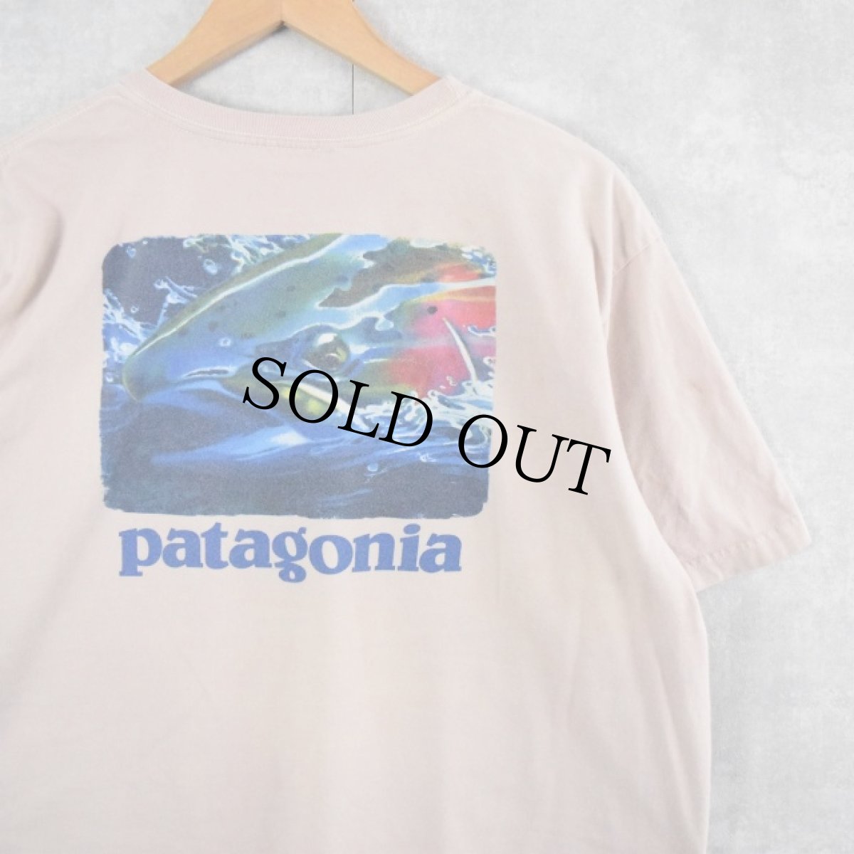 画像1: Patagonia "world trout" プリントTシャツ L (1)