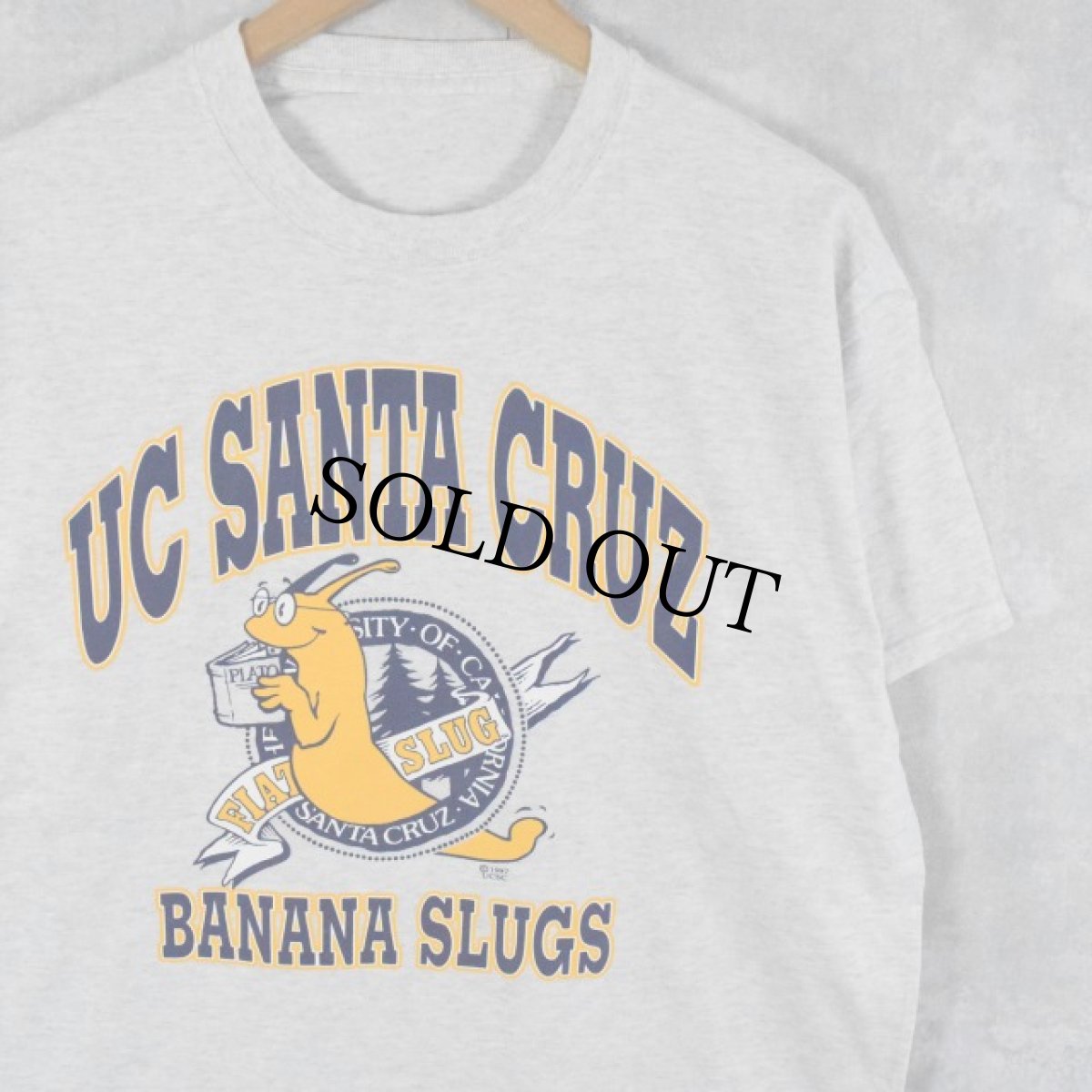 画像1: "UC SANTA CRUZ" プリントTシャツ (1)