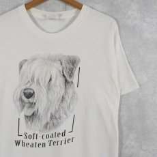 画像1: Soft-coated Wheaten Terrier 犬プリントTシャツ M (1)