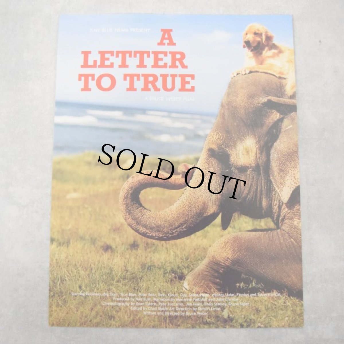 画像1: 2004 BRUCE WEBER "A LETTER TO TRUE" Documentary Movie Poster (1)