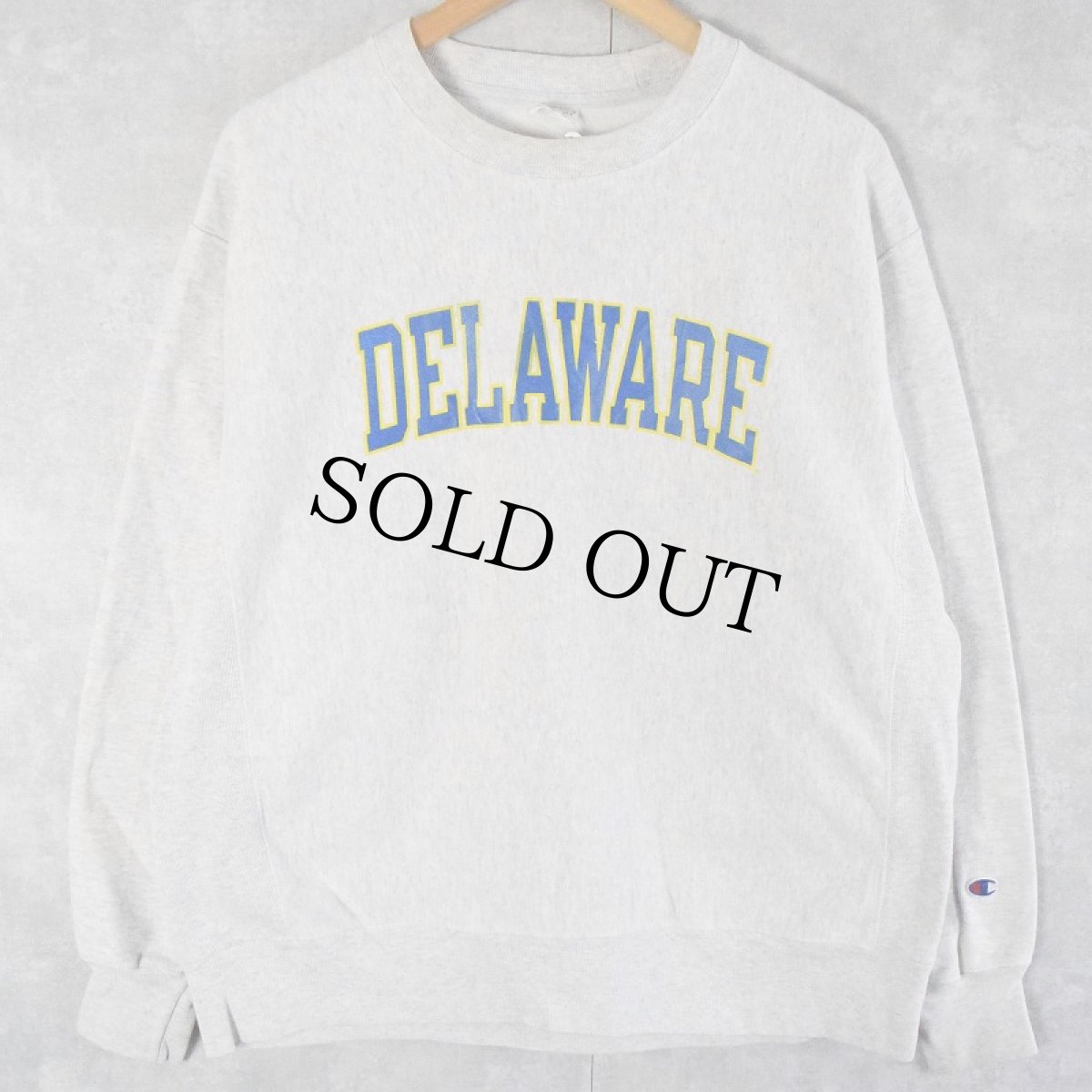 画像1: Champion REVERSE WEAVE "DELAWARE" プリントスウェット L (1)