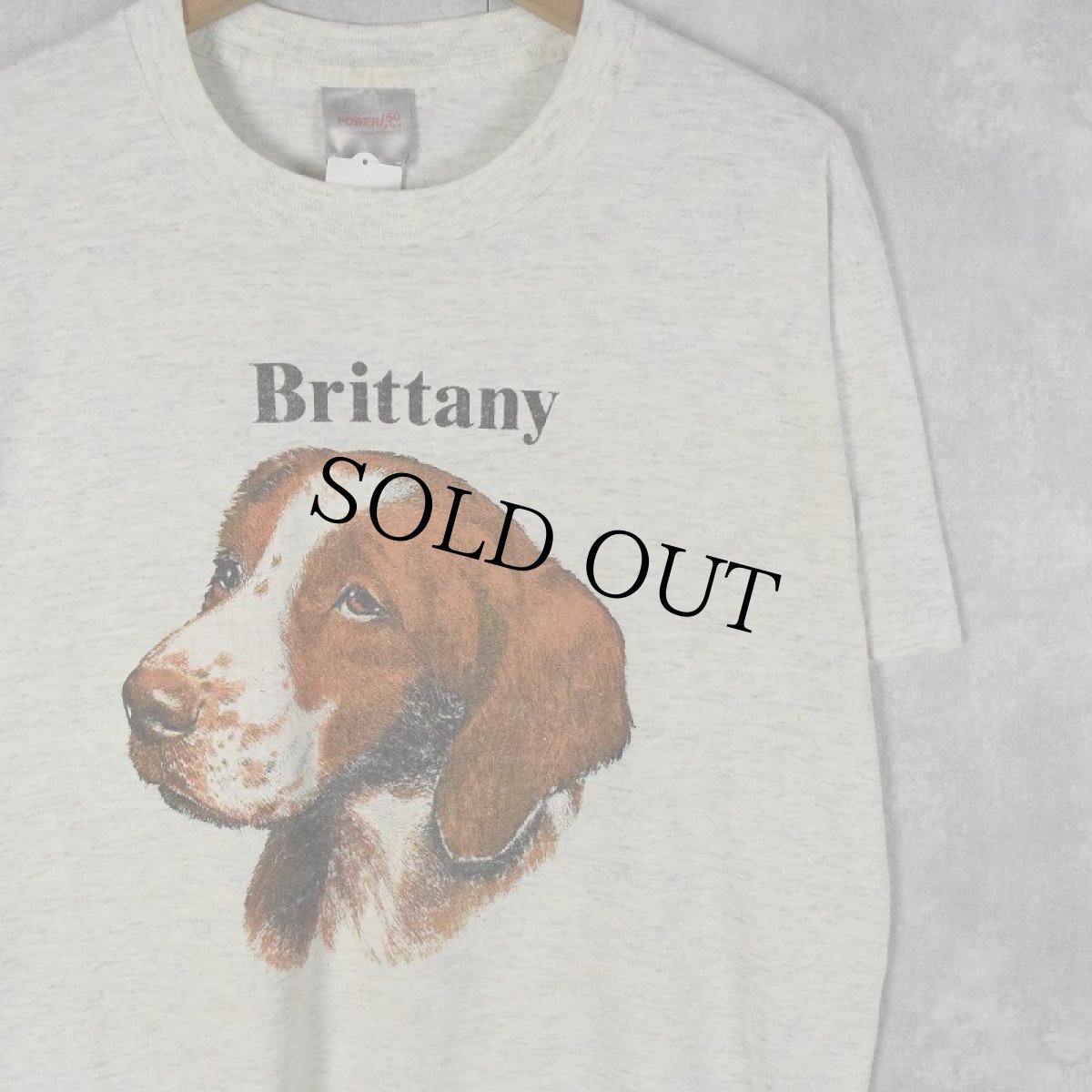 画像1: 90's "Brittany" 犬イラストTシャツ L (1)