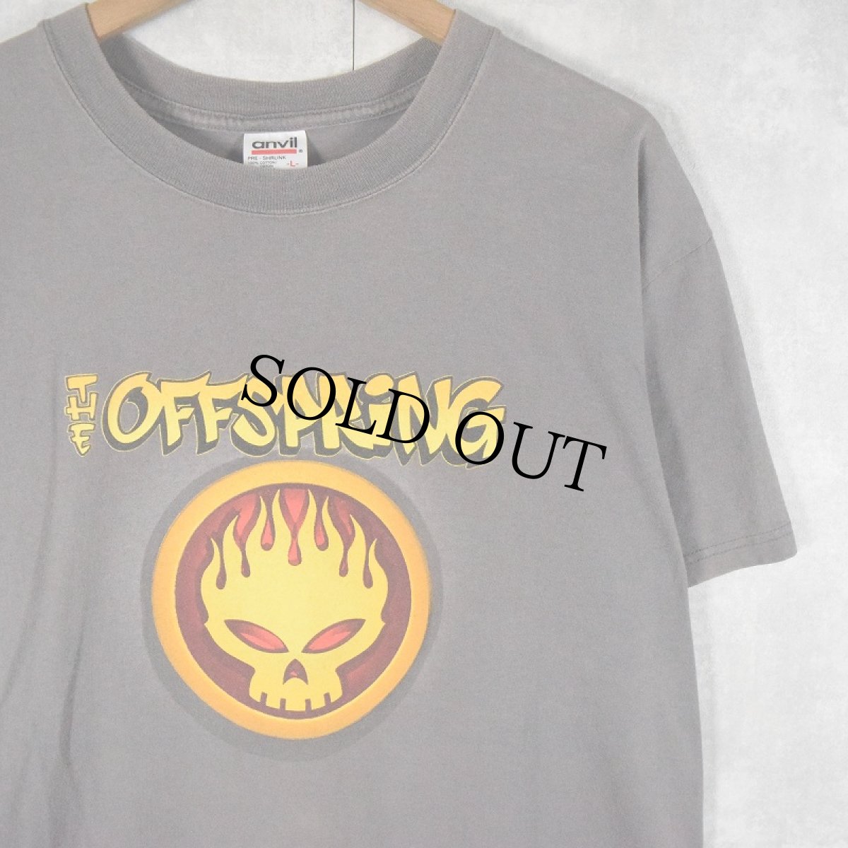 画像1: 2000's THE OFFSPRING USA製 "Conspiracy Of One" バンドツアーTシャツ L (1)