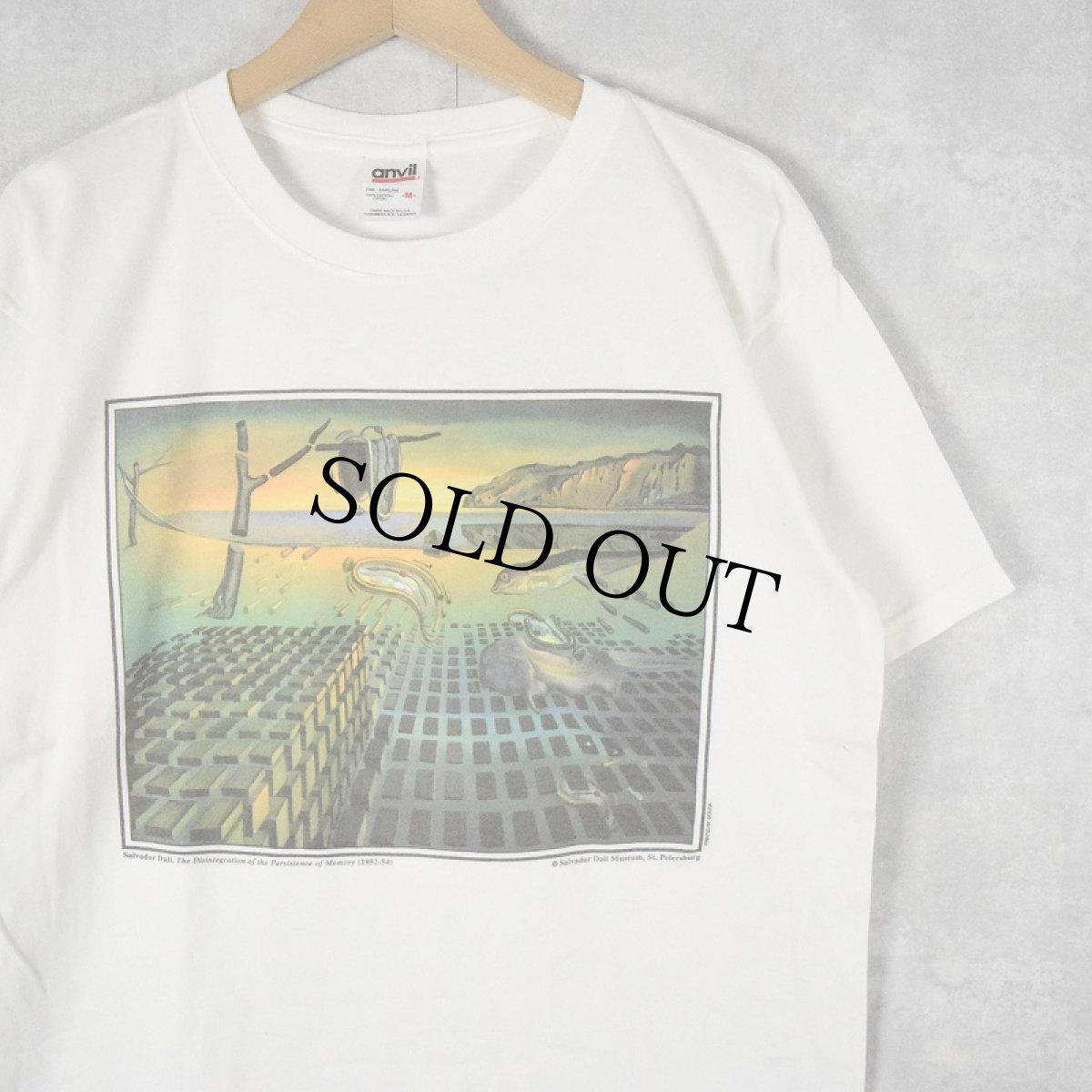 画像1: 2000's SALVADOR DALI "記憶の固執の崩壊" アートプリントTシャツ M (1)