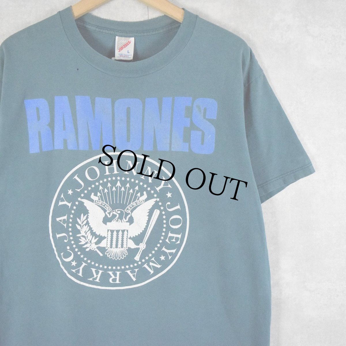 画像1: 90's RAMONES USA製 ロックバンドTシャツ L (1)