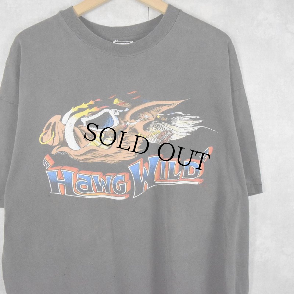 画像1: 90's HARLEY-DAVIDSON USA製 "Hawg Wild" プリントTシャツ BLACK XXL (1)