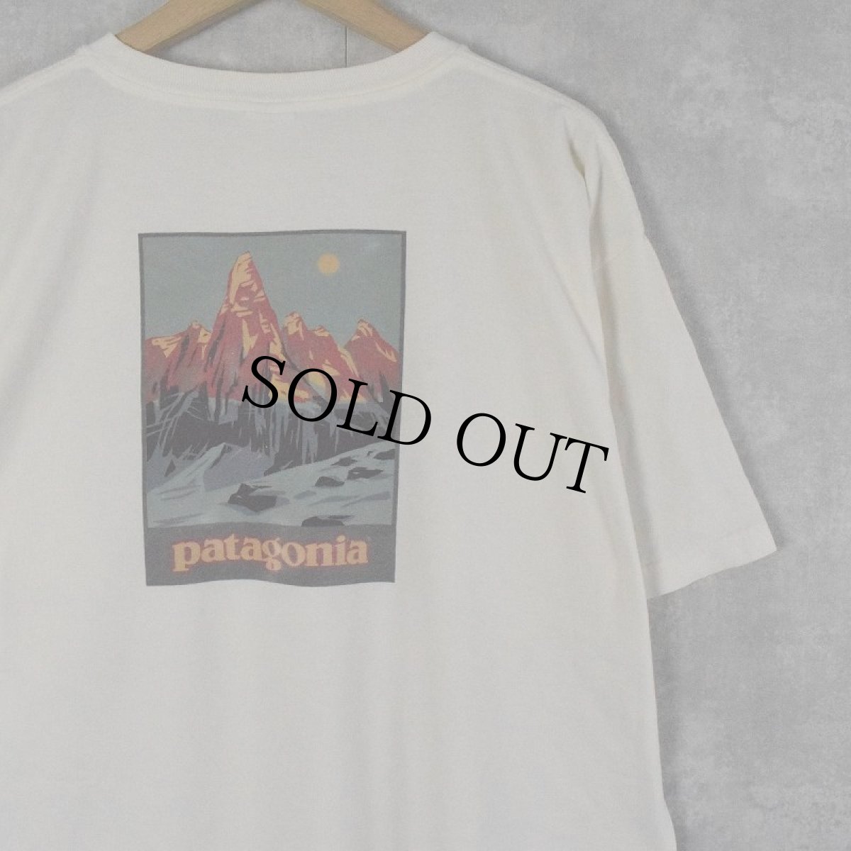 画像1: 90's Patagonia USA製 "フィッツロイ山脈" ロゴプリントTシャツ L (1)