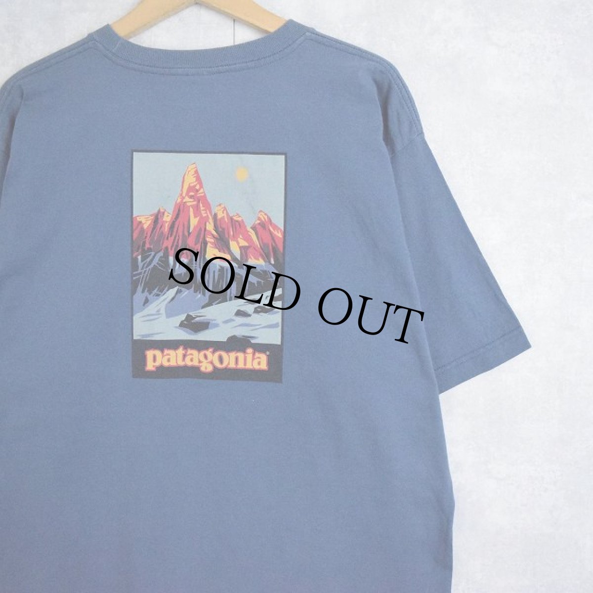 画像1: Patagonia USA製 "Beneficial T's" バックプリントTシャツ L (1)